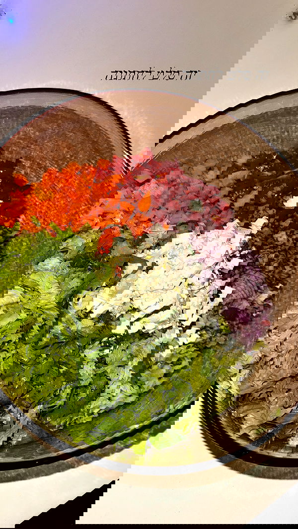 sapir_avisror image ~ Altpins