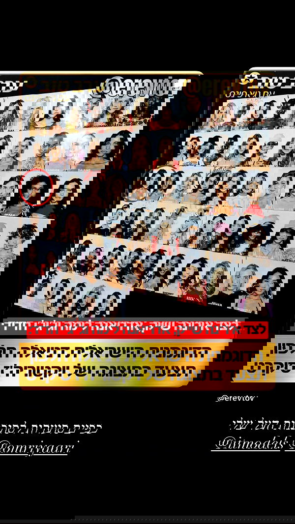 sapir_avisror image ~ Altpins