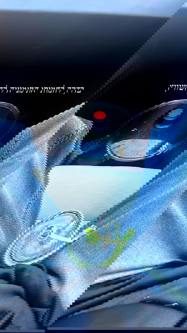 sapir_avisror image ~ Altpins