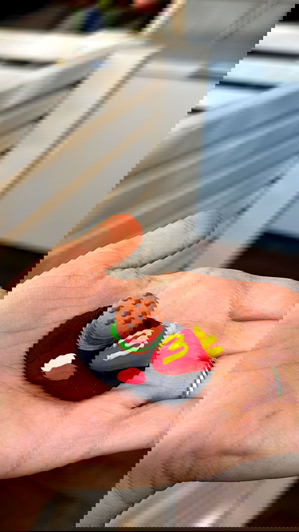 sapir_avisror image ~ Altpins