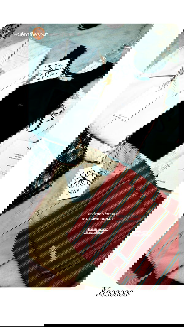 sapir_avisror image ~ Altpins