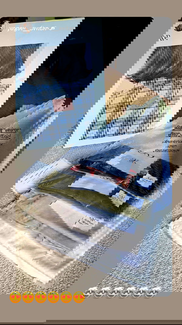 sapir_avisror image ~ Altpins