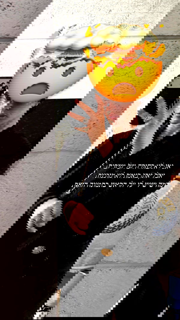 sapir_avisror image ~ Altpins