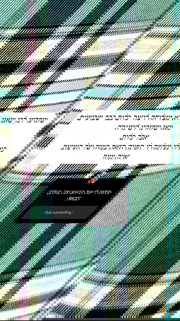 sapir_avisror image ~ Altpins