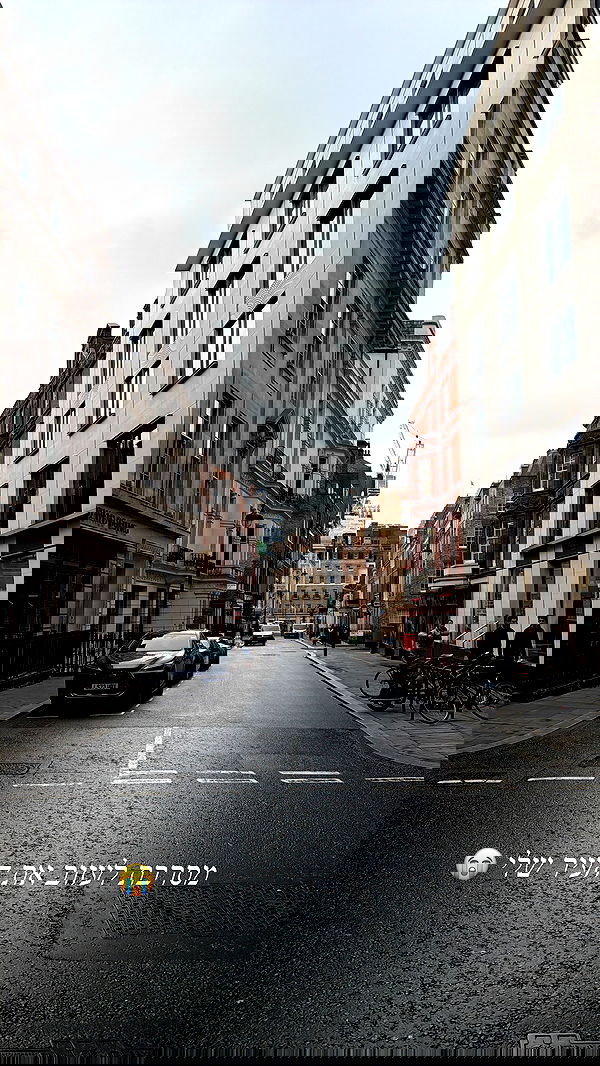 sapir_avisror image ~ Altpins