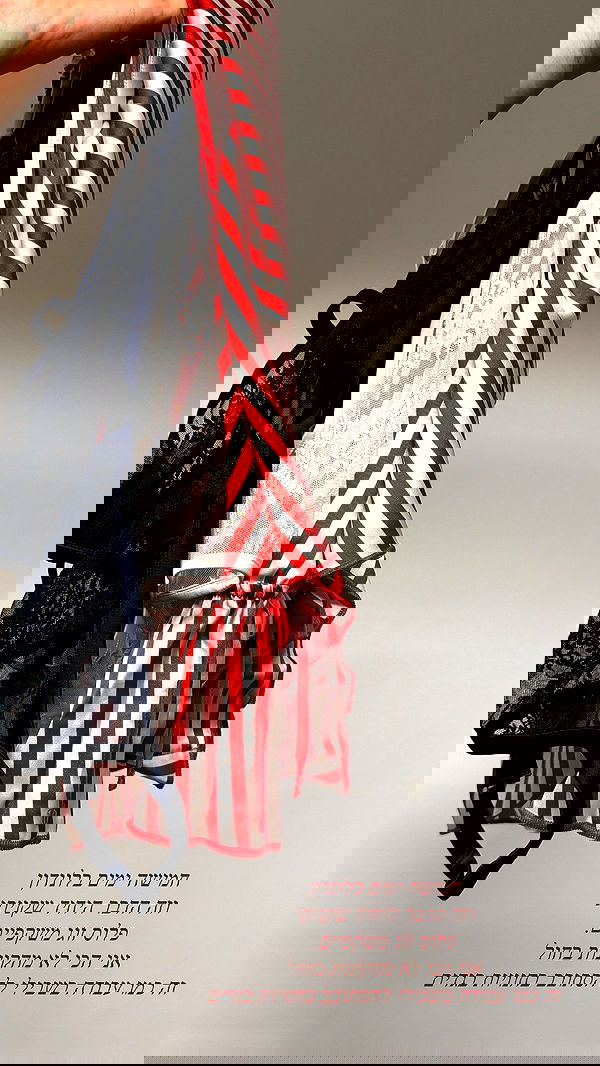 sapir_avisror image ~ Altpins