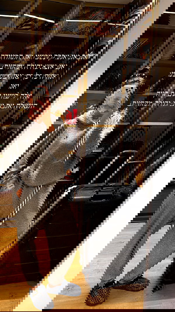 sapir_avisror image ~ Altpins