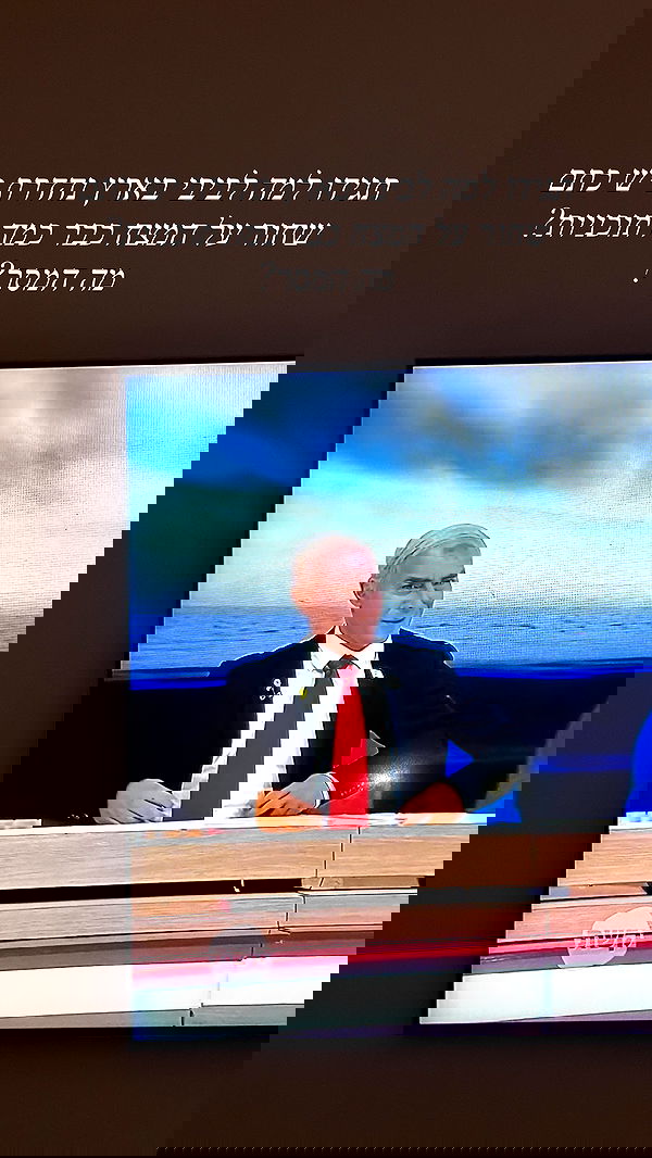 sapir_avisror image ~ Altpins