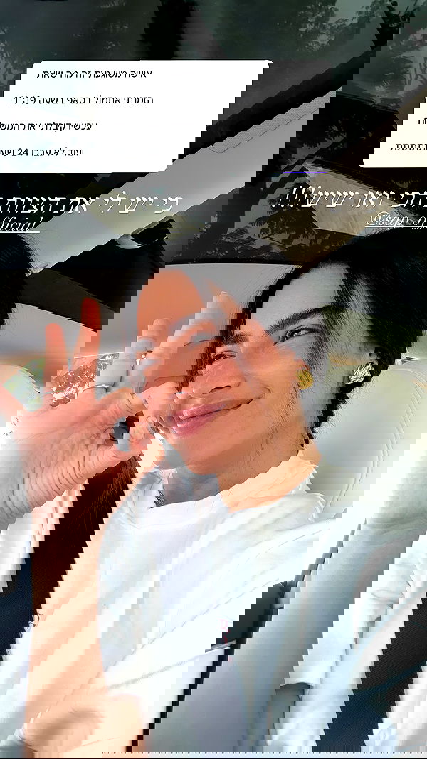 sapir_avisror image ~ Altpins