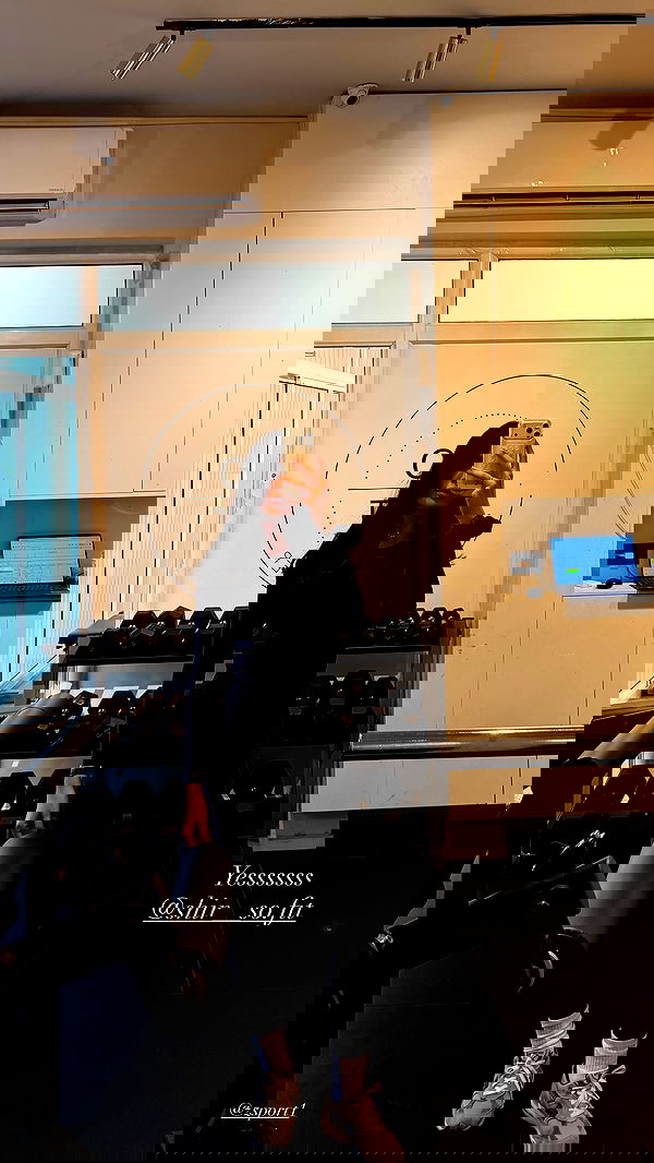 sapir_avisror image ~ Altpins