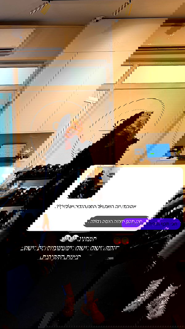 sapir_avisror image ~ Altpins