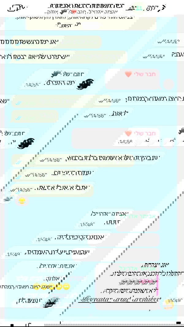 sapir_avisror image ~ Altpins