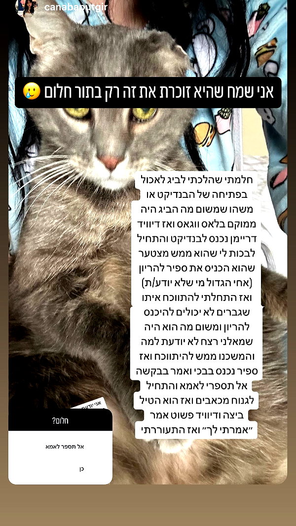 sapir_shemer instagram image archive image