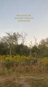 sarah.anne.dipity Altpins Profile Picture