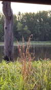 sarah.anne.dipity Altpins Profile Picture