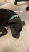 sarah_grace.c Altpins Profile Picture