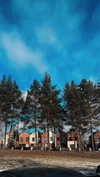 saturdayx Altpins Profile Picture