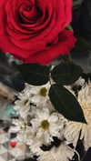 saturdayx Altpins Profile Picture