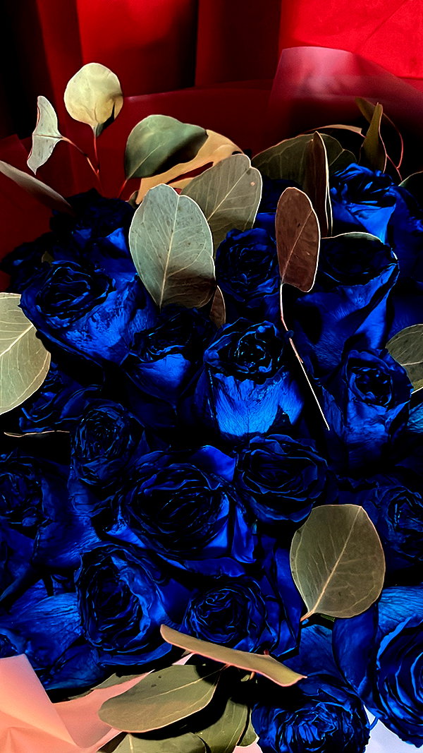 saturdayx saturdayx archive image