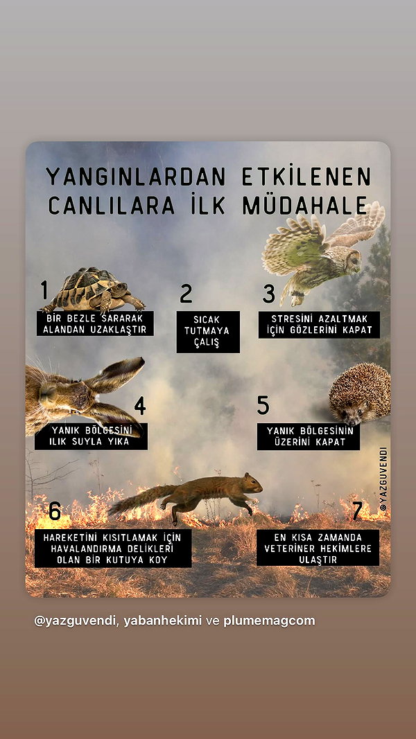 saynaacl saynaacl archive image