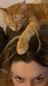 schnuckell Altpins Profile Picture