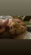 schnuckell Altpins Profile Picture