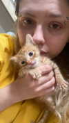 schnuckell Altpins Profile Picture