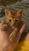 schnuckell Altpins Profile Picture