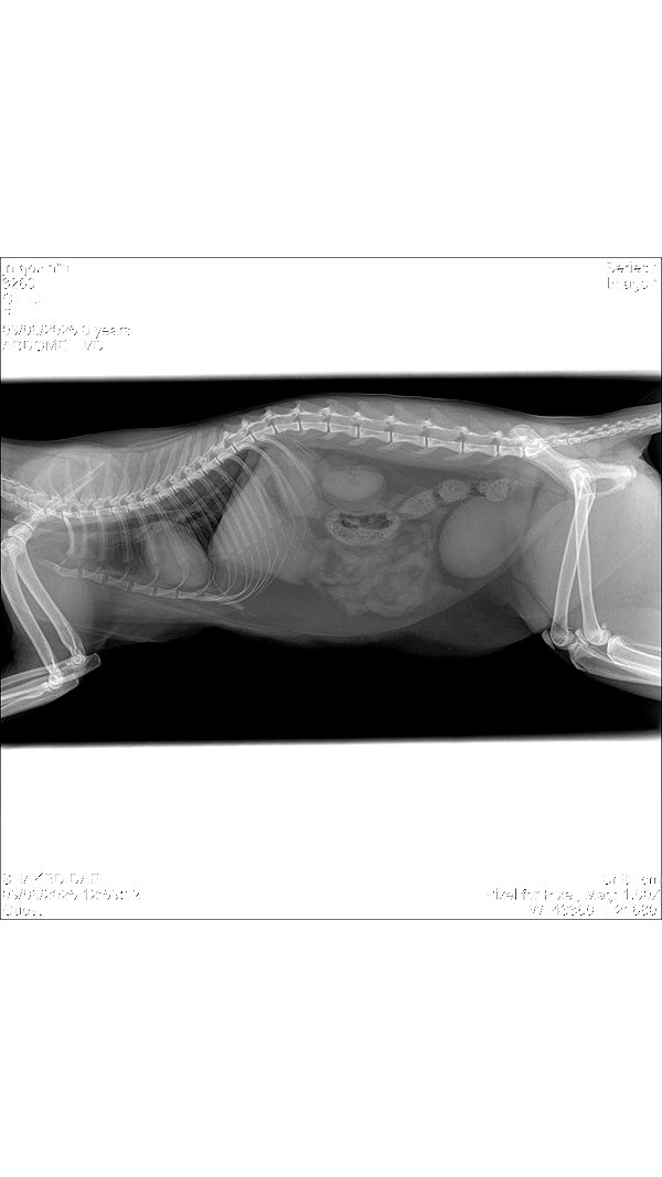 schnuckell instagram image archive image
