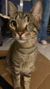 schnuckell Altpins Profile Picture