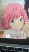 schnuckell Altpins Profile Picture