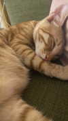 schnuckell Altpins Profile Picture