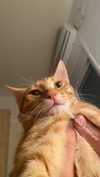 schnuckell Altpins Profile Picture