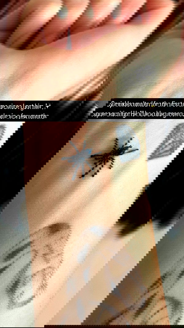 sedonaskyxo sedonaskyxo archive image