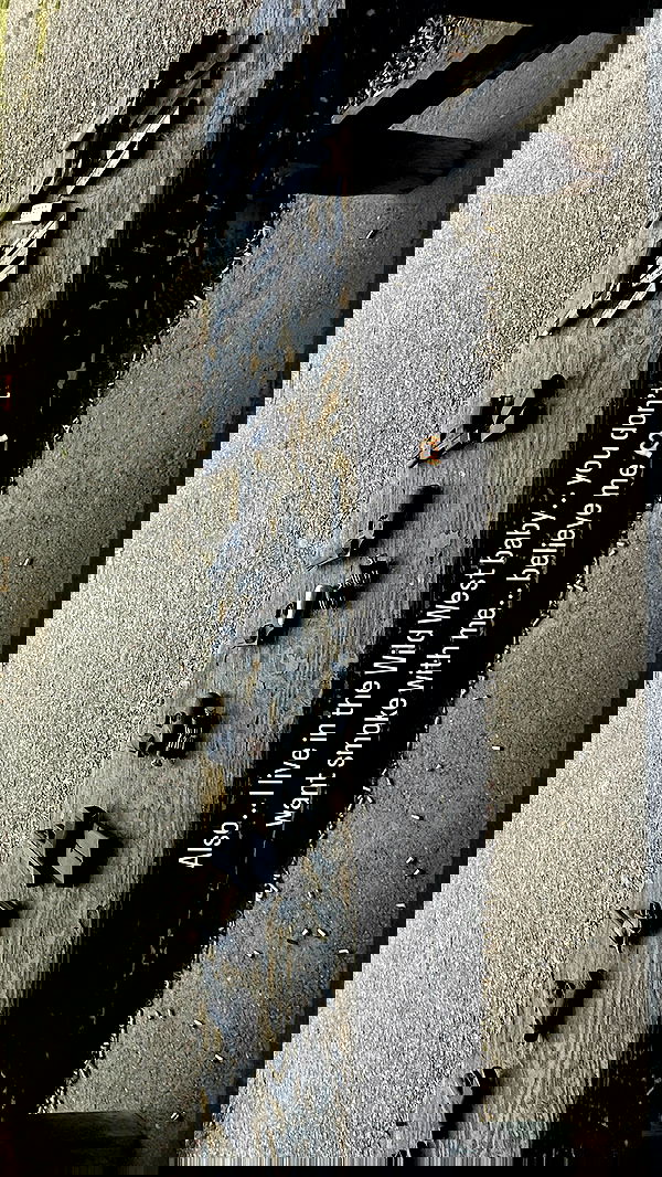 sedonaskyxo sedonaskyxo archive image