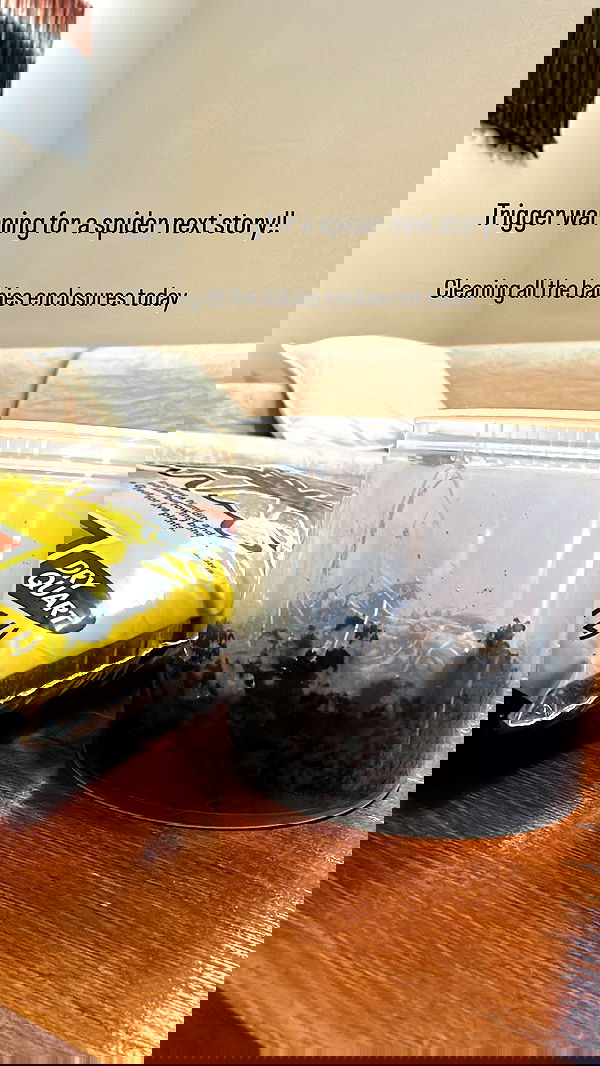 sedonaskyxo sedonaskyxo archive image