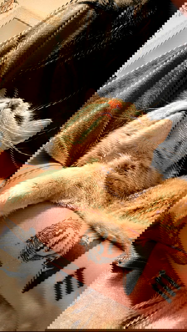 sedonaskyxo sedonaskyxo archive image