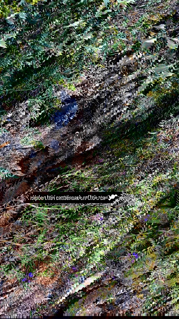 sedonaskyxo sedonaskyxo archive image