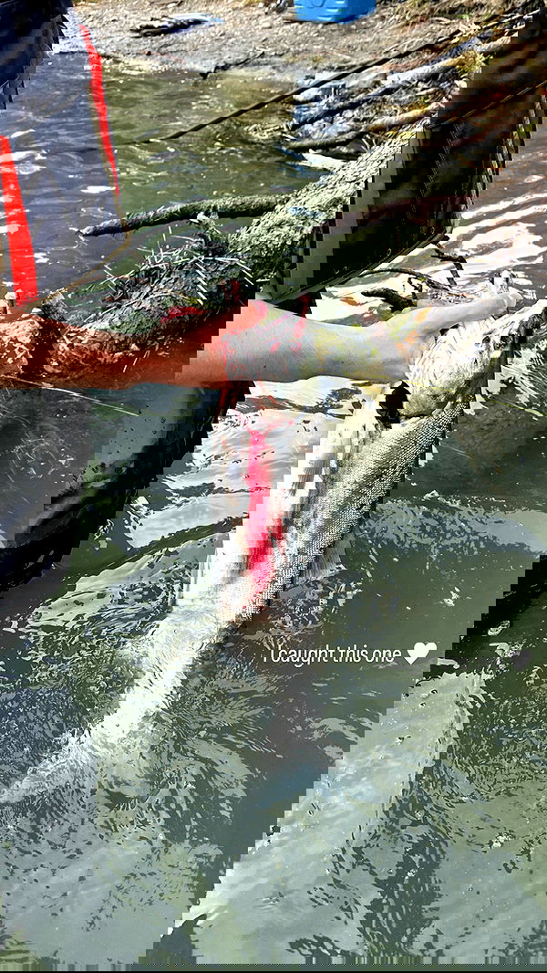 sedonaskyxo sedonaskyxo archive image