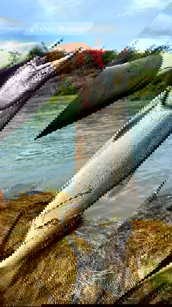 sedonaskyxo sedonaskyxo archive image