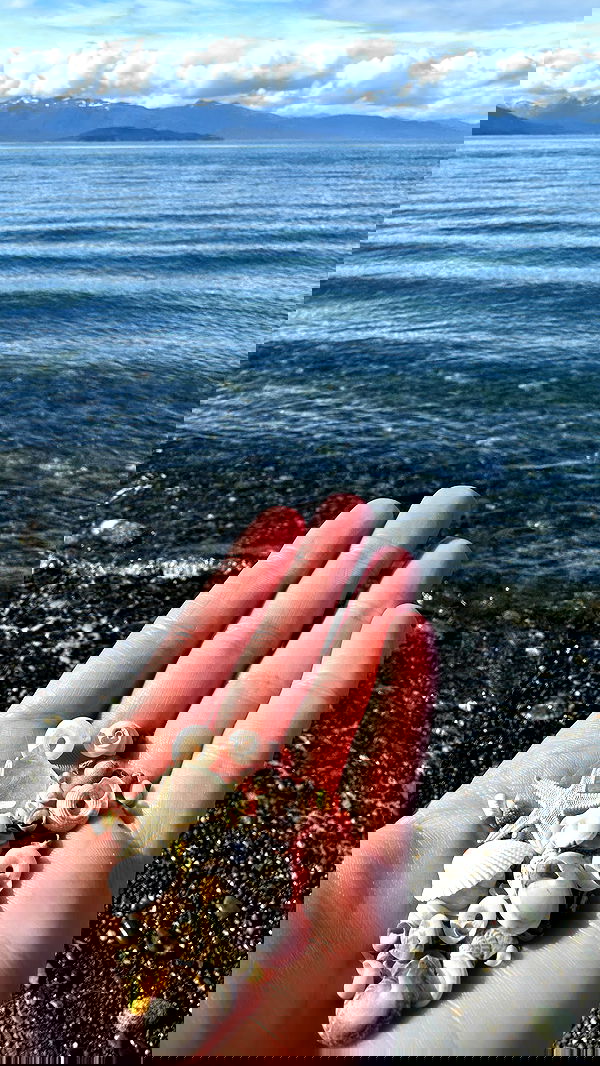 sedonaskyxo sedonaskyxo archive image