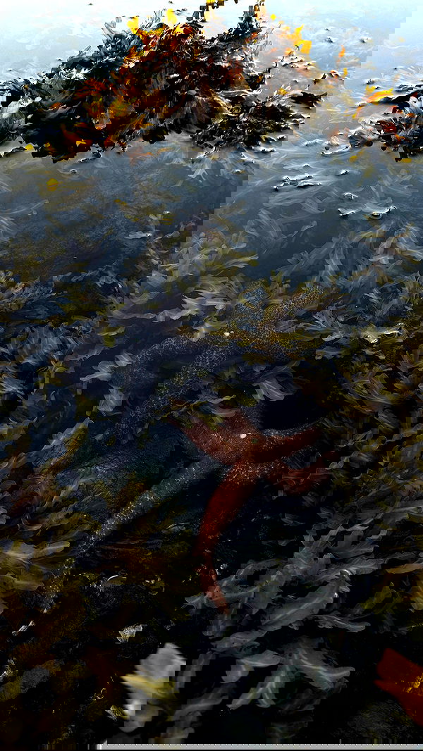 sedonaskyxo sedonaskyxo archive image