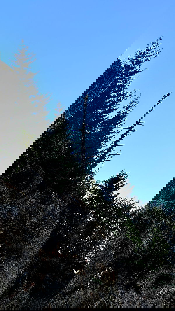 sedonaskyxo sedonaskyxo archive image