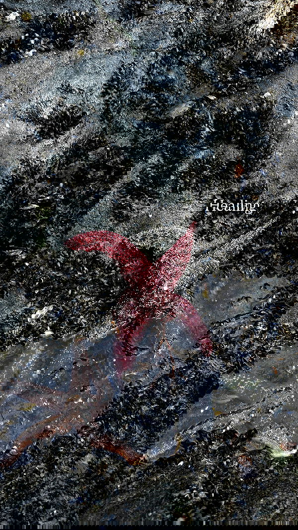 sedonaskyxo sedonaskyxo archive image