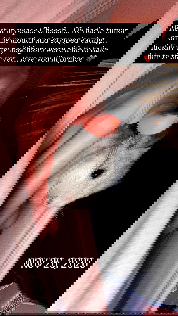 sedonaskyxo sedonaskyxo archive image