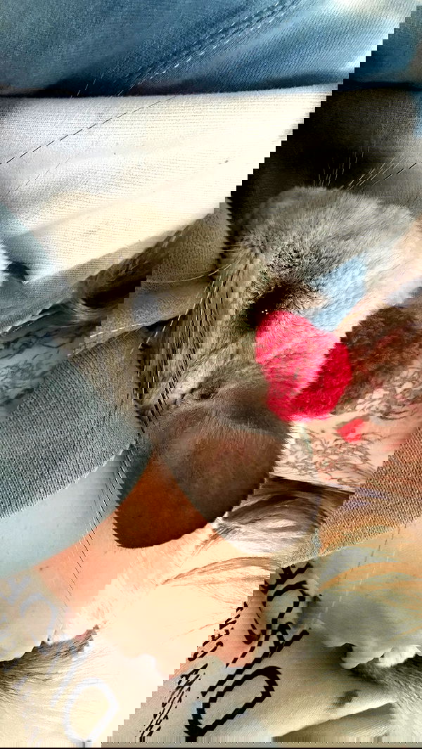 sedonaskyxo sedonaskyxo archive image