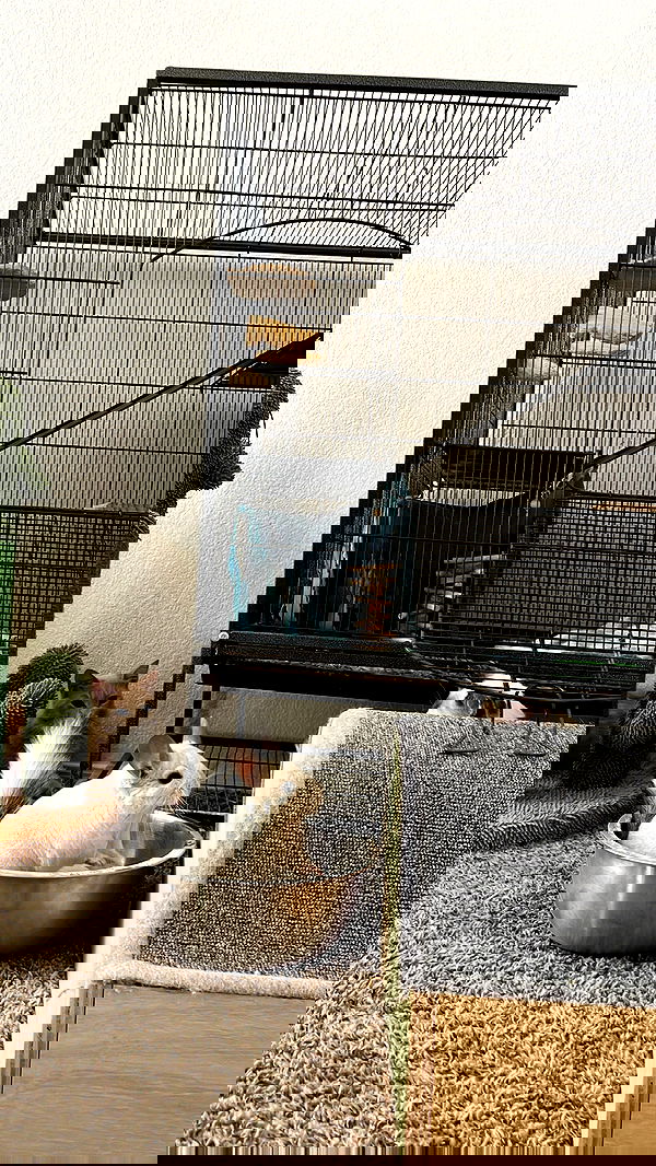 sedonaskyxo sedonaskyxo archive image