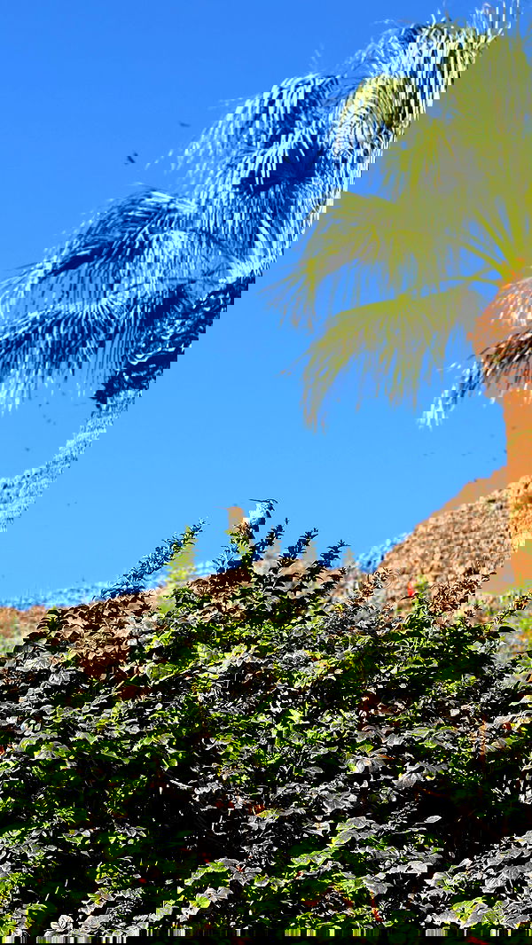 sedonaskyxo sedonaskyxo archive image