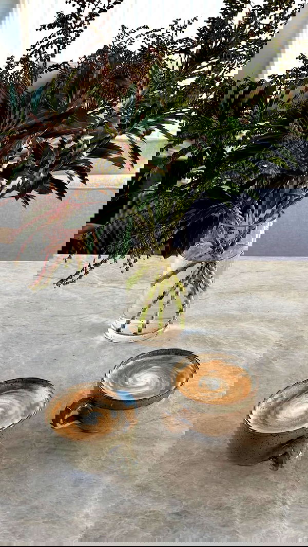 sedonaskyxo sedonaskyxo archive image