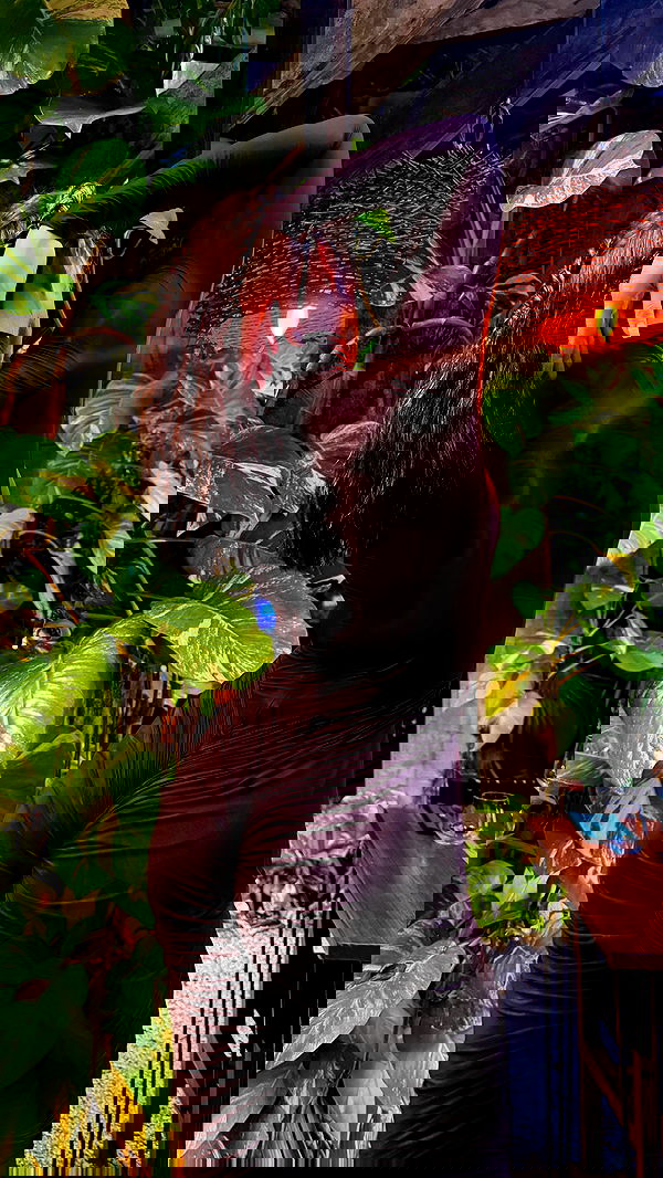 sedonaskyxo sedonaskyxo archive image